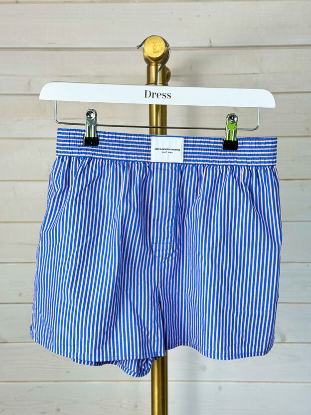 Pre-Owned Alexander Wang Blue & Pink Striped Shorts Size S