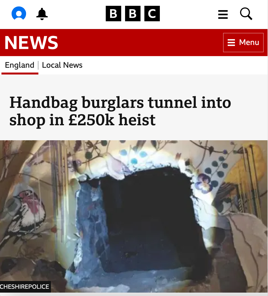 Handbag Heist